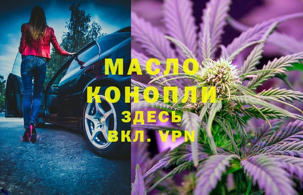 крисы Алзамай