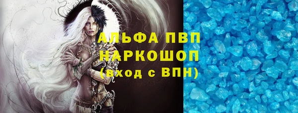 крисы Алзамай