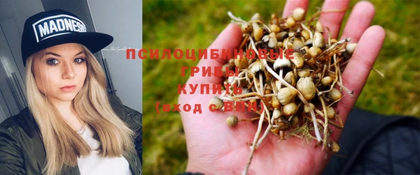 гидропоника Абаза