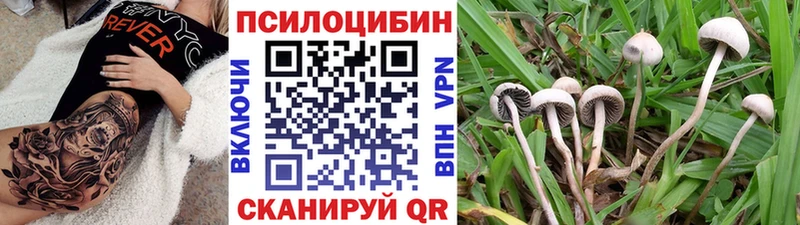 Галлюциногенные грибы MAGIC MUSHROOMS Тарко-Сале