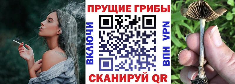 Псилоцибиновые грибы MAGIC MUSHROOMS  Тарко-Сале 